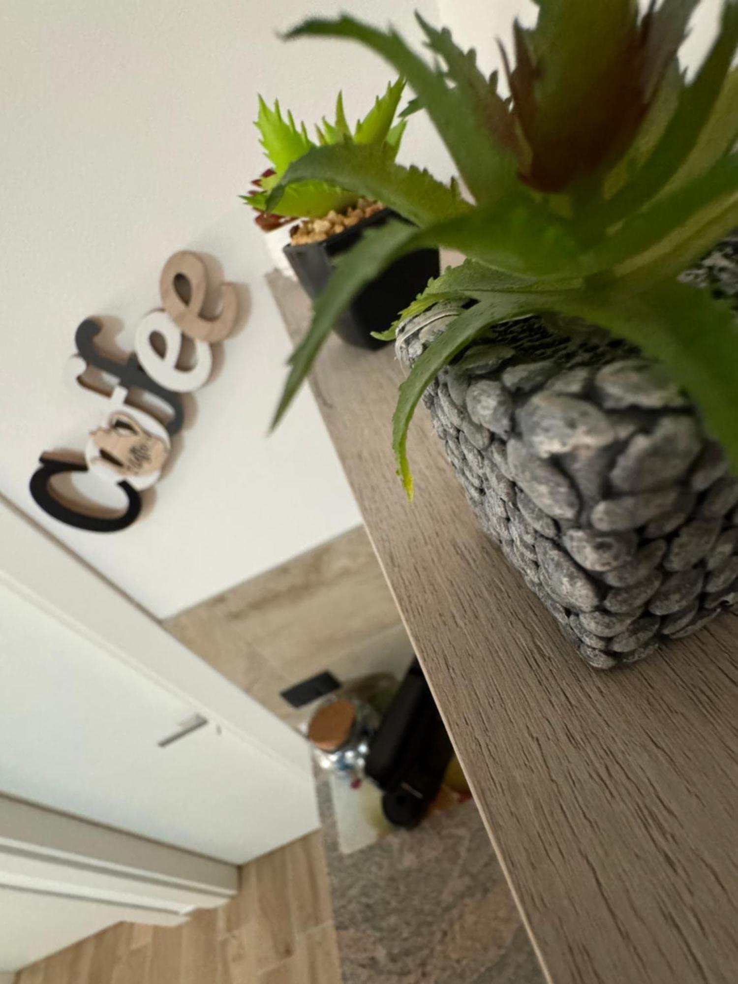Mc Rooms Torretta  외부 사진